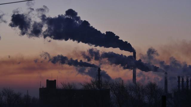 Zagaðen vazduh uzrok 500.000 astmatiènih napada godišnje